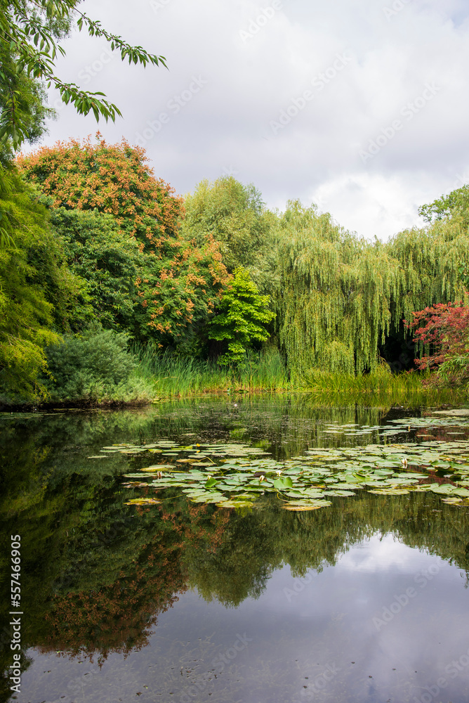 Lake at Cambridge Botanical Gardens