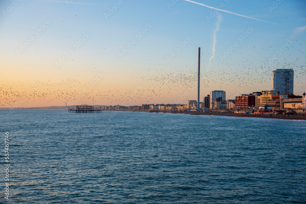 The Starlings over Brighton Seafront