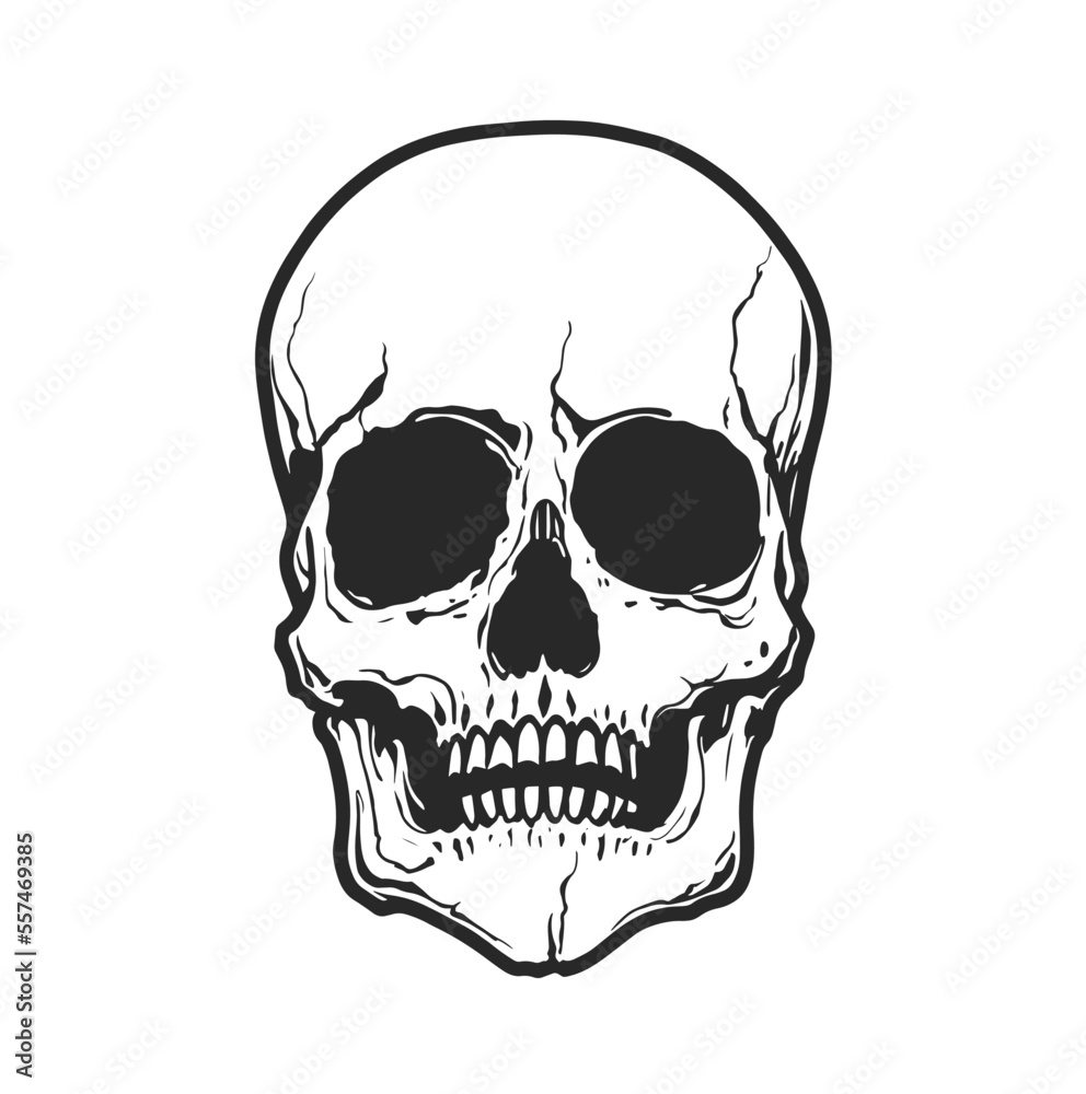 Vector black and white illustration of human skull with a lower jaw in ...
