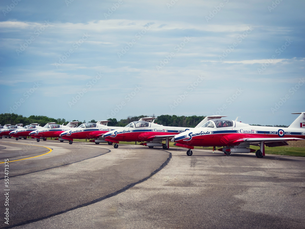 Royal Canadian Air Force aerobatics flight demonstration team Snowbirds