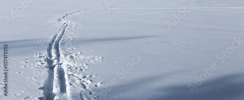 Ski tracks in deep snow © Grzegorz