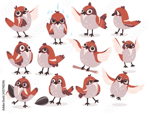 Cartoon sparrows flat icons set. Cute small bird with short bill, and brown, white and gray feathers