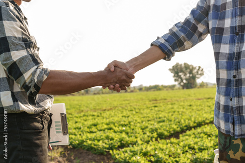 The concept of natural farming. Farmers hand touching the green leaves of wheat in the field Agriculture. protect the cultivation ecosystem, asia man farm worker, working together, shaking hands © makibestphoto