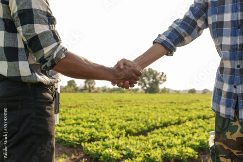 The concept of natural farming. Farmers hand touching the green leaves of wheat in the field Agriculture. protect the cultivation ecosystem, asia man farm worker, working together, shaking hands
