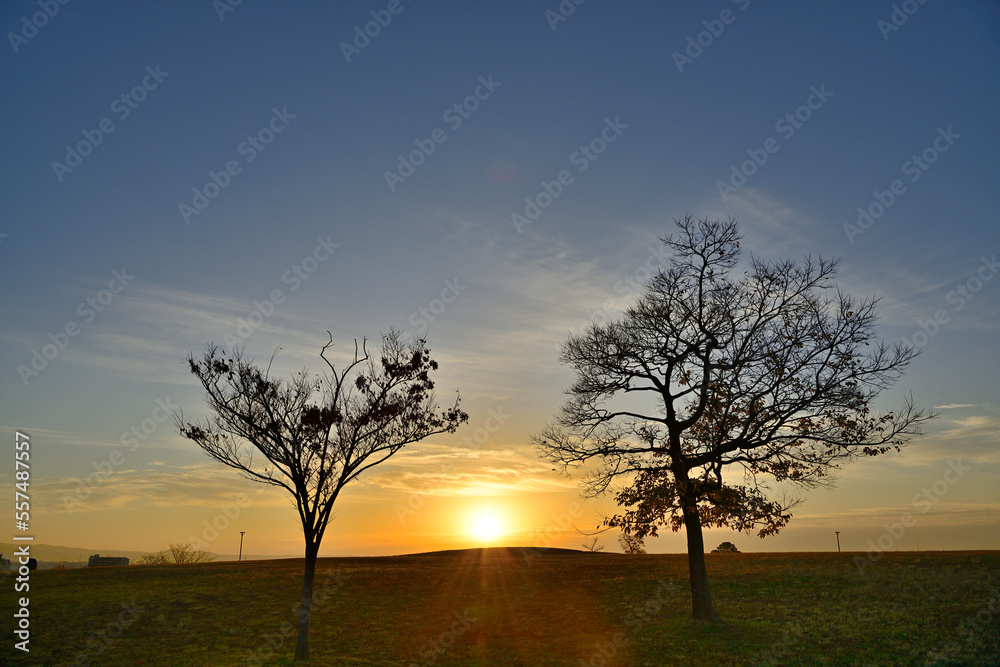 Fototapeta premium 日の出の風景
