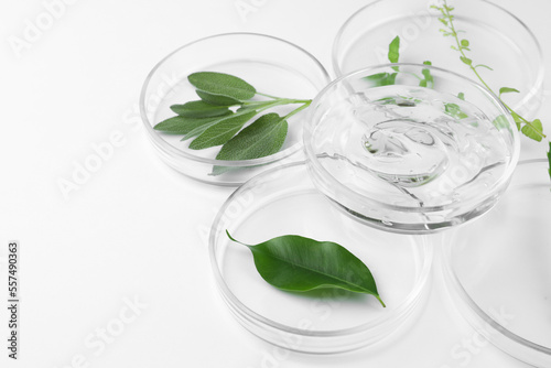 Petri dishes with different plants and cosmetic product on white background, closeup