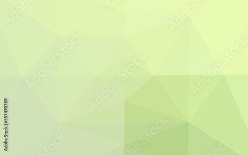 Fototapeta Naklejka Na Ścianę i Meble -  Light Green vector polygonal background.