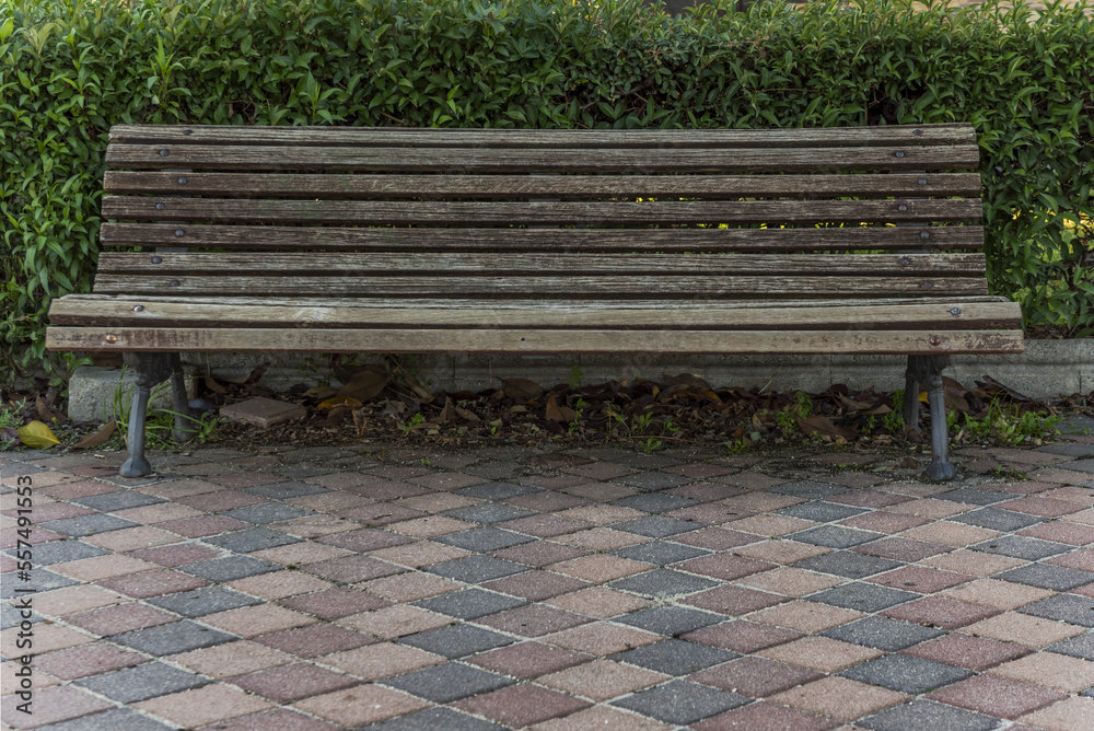 Wooden bench of a municipal garden with hedges and concrete tiled floors of various colors Wooden bench of a municipal garden with hedges and concrete tiled floors of various colors