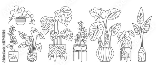 House potted plant, decorative doodle outline set. Exotic houseplants flowerpot for interior. Botanical house indoor blooming plants in pot, linear potted ceramic. Isolated jungle sketch vector