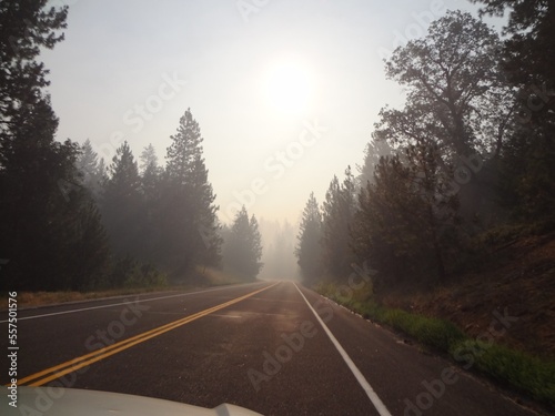 Creepy Foggy Road in California  traveling to Yosemite 