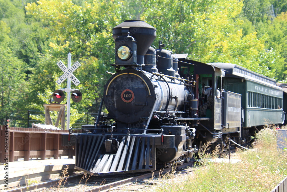 Naklejka premium old steam train