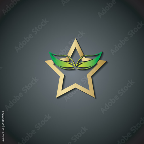 Star and leaf logo designs template, Fast star logo Vector