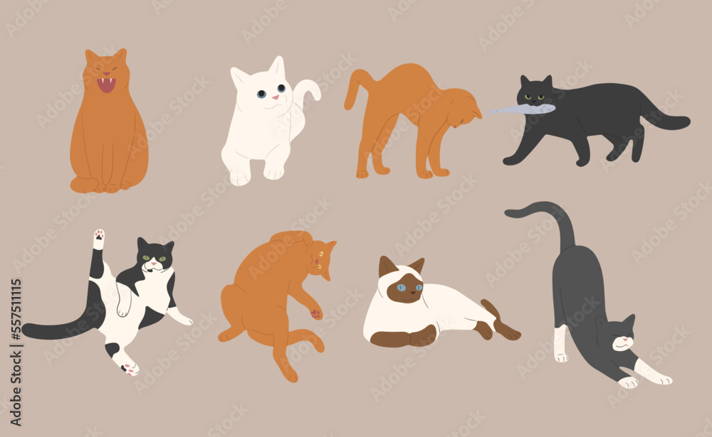 cat cute 2 on a white background, vector illustration.