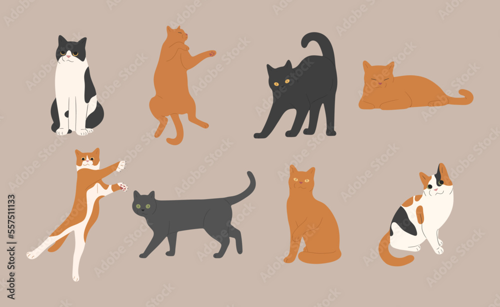 Obraz premium cat cute 5 on a white background, vector illustration.