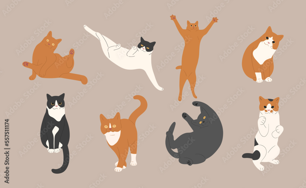 cat cute 14 on a white background, vector illustration.