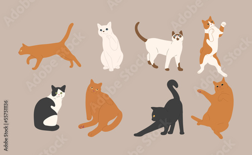 cat cute 7 on a white background  vector illustration.