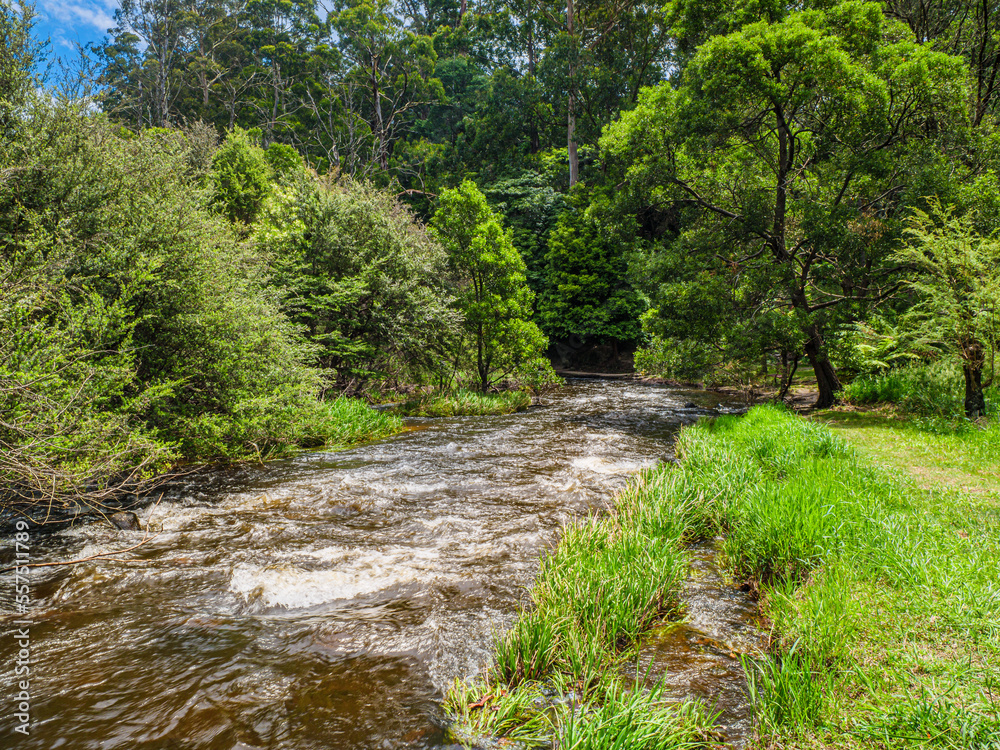 Obraz premium Fast Foaming Creek