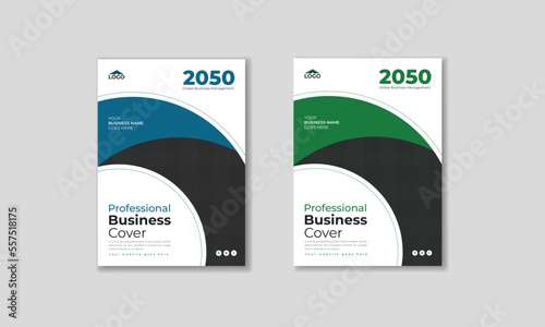 Annual report cover template or Professional cover page and company profile, booklet cover, business cover, book cover Vector design