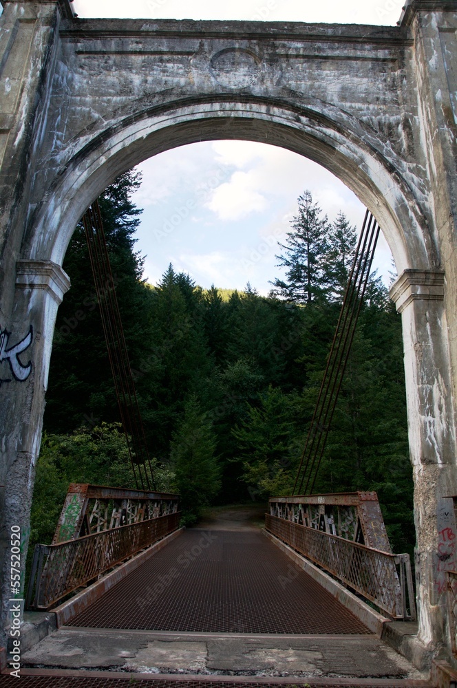 Obraz premium Bridge Arch in Forest