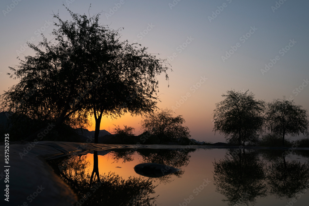 Naklejka premium Tree with sunrise background, Beautiful Hatta Lake view