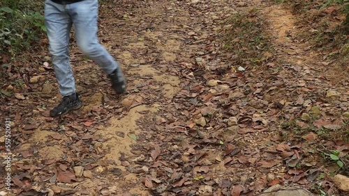 Man walking alone in the forest alone
Close up of man walking in the forest/jungle alone. photo