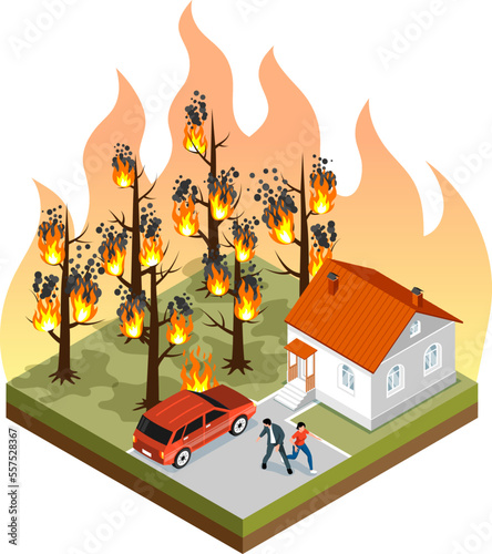 Natural Disaster Forest Fire