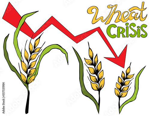 Set ears of wheat, barley with leaves. crisis and crop failure. Global food inflation and hunger. The problem of food insecurity in the world. Price growth for wheat seeds on the chart.