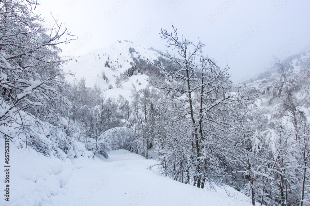 Naklejka premium paysage sous la neige en hiver dans les Alpes à Vaujany