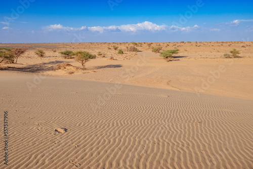 Scenic view of North Horr Sand Dune in Marsabit County, Kenya