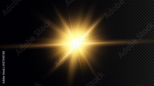Golden particles of light. Golden light. Light flare.Stars isolated on transparent background.