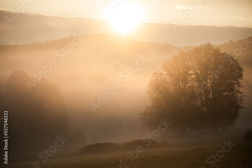 Bright sunlight through the fog at dawn. Early morning fog at sunrise.  © szaboerwin