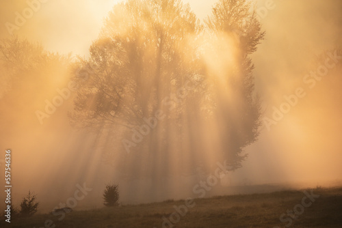 beautiful foggy landscape w...