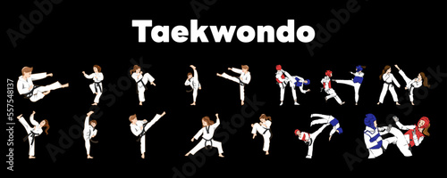 Taekwondo player vector set collection graphic clipart design