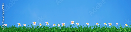 green grass field with little white flowers blue sky background 3D rendering © Alextra