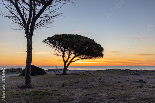 Der Zauber von Sardinien photo