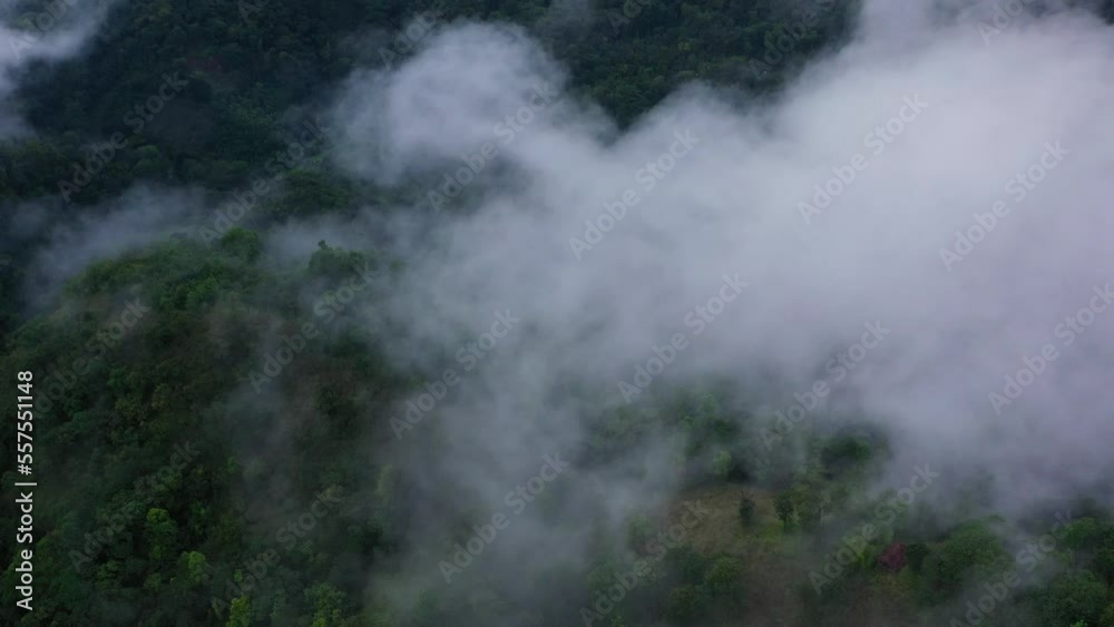 Aerial view of Mountains and forests covered with fog and clouds at dusk Aerial view of Mountains and forests covered with fog and clouds at dusk