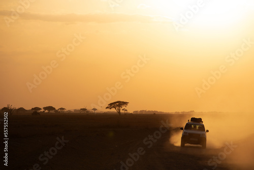 Tourists returning back from game drive during sunset at Amboseli natinal park, kenya
