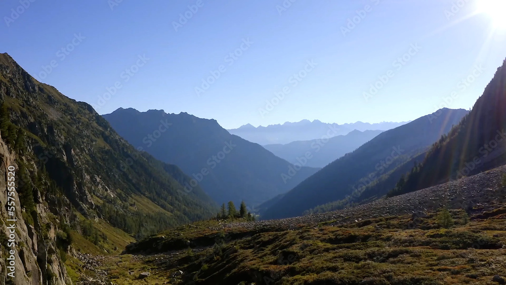 Naklejka premium gorge in the mountains in spring