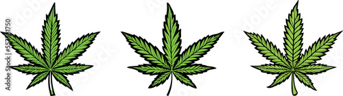 Cannabis leaves - CBD leaf vectors, transparent background