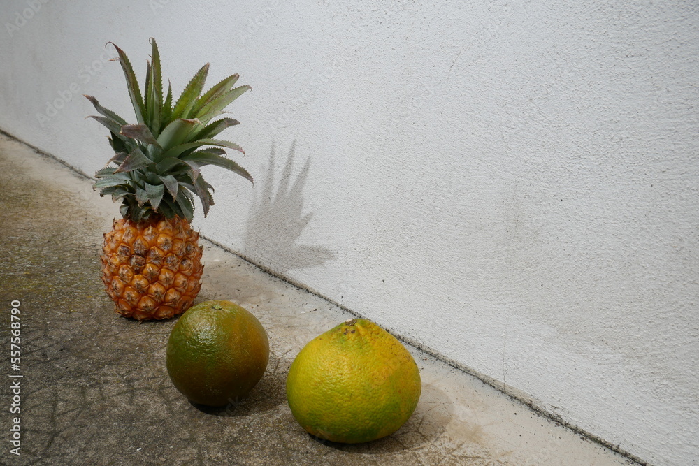 Ugli fruit (Jamaican Tangelo) and orange navel quot chocolate quot and Victoria Ugli fruit (Jamaican Tangelo) and orange navel quot chocolate quot and Victoria