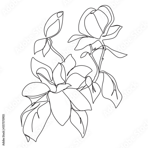 Flowers one line vector art. Magnolia line drawing.  Botanical print. Cosmetics nature symbol. Modern continuous line art. Fashionable print. Beaty salon logo.