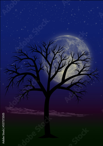 Silhouette d'un arbre mort en hiver dans un paysage de nuit avec la lune et les étoiles dans un ciel d'un bleu profond © Hervé Rouveure