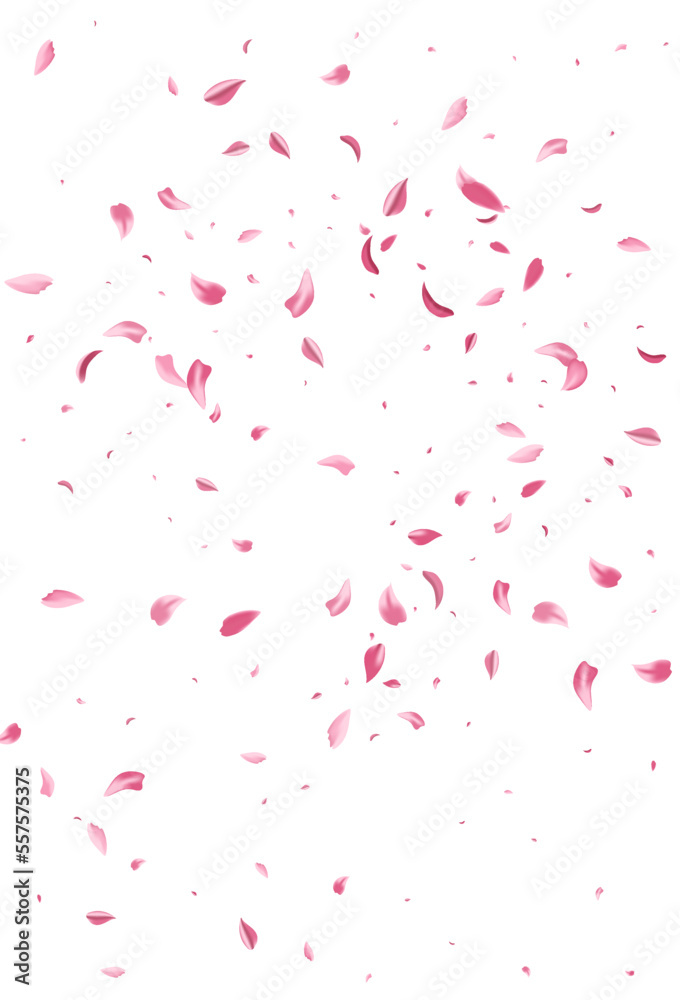 Pink Peach Falling Vector White Background. Blur