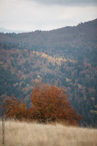 autumn landscape with mount...