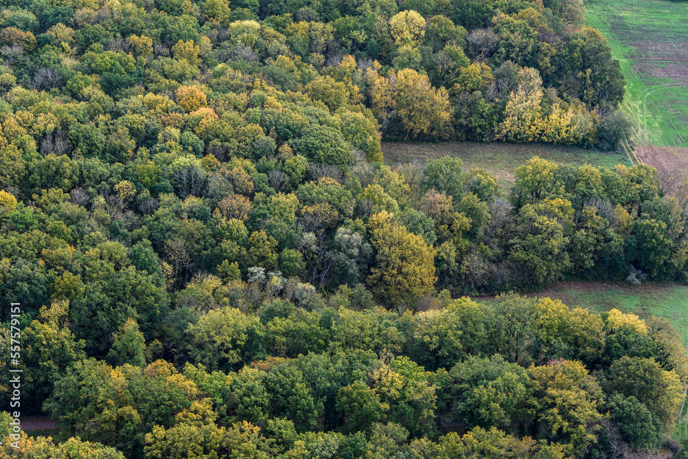 vue aérienne de la forêt à l'automne à Mézières-sur-Seine dans les Yvelines en France