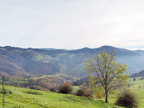 Naturpark Südschwarzwald. Zeller Bergland und Blauen zwischen Basel und Feldberg. Grüne Weiden mit Blick auf Fröhnd, Gersbach bis Hohe-Möhr nördlich von Zell