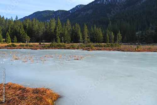 Riedener See Naturjuwel im Naturpark Tiroler Lech. photo