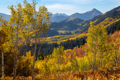 Vibrant autumn colors in Utah s Wasatch mountains