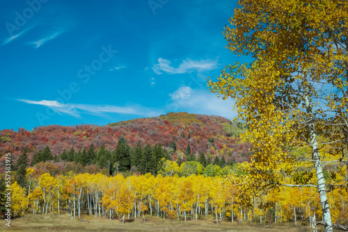 Vibrant autumn colors in Utah s Wasatch mountains