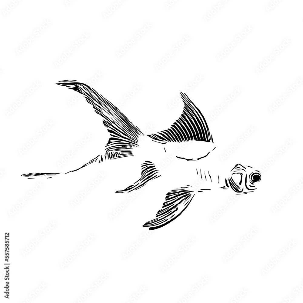 black and white drawing sketch of a fish with a transparent background black and white drawing sketch of a fish with a transparent background